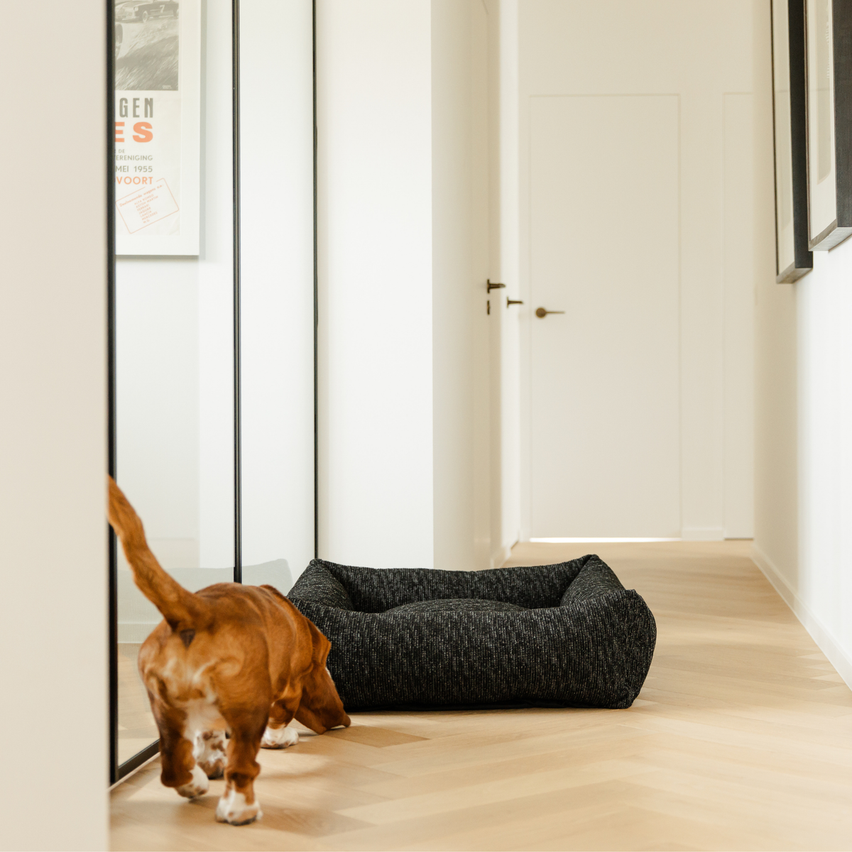 A dog stepping out of the Coal Grey Snug dog bed in a hallway