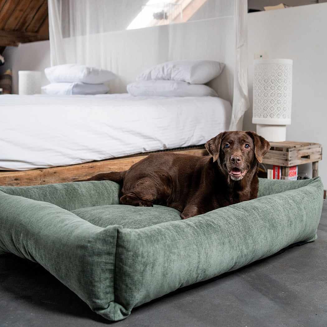 Snug Mellow Dog Bed Emerald Green