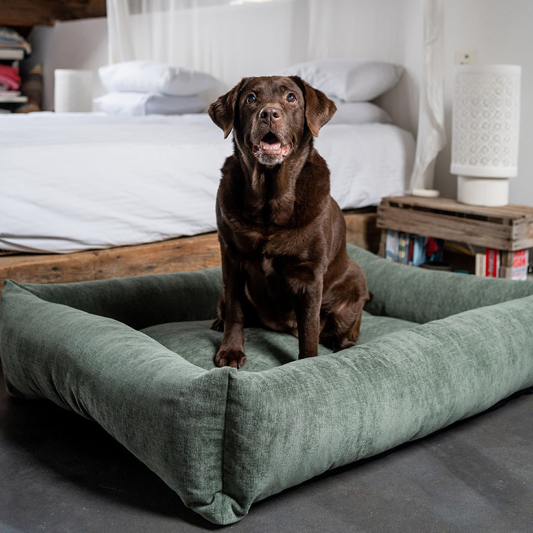 Snug Mellow Dog Bed Emerald Green