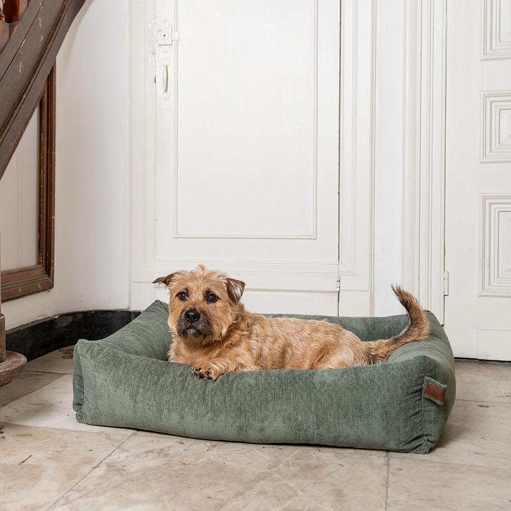 Snug Mellow Dog Bed Emerald Green