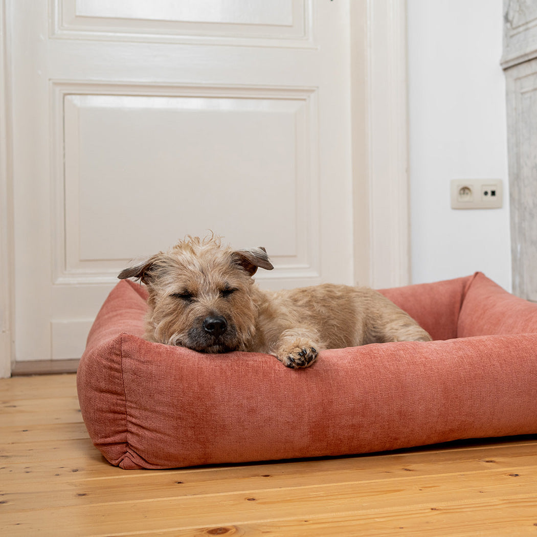 Snug Mellow Dog Bed Rusty Orange