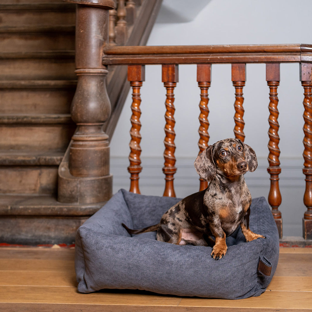 Snug Mellow Dog BedSmoke Grey