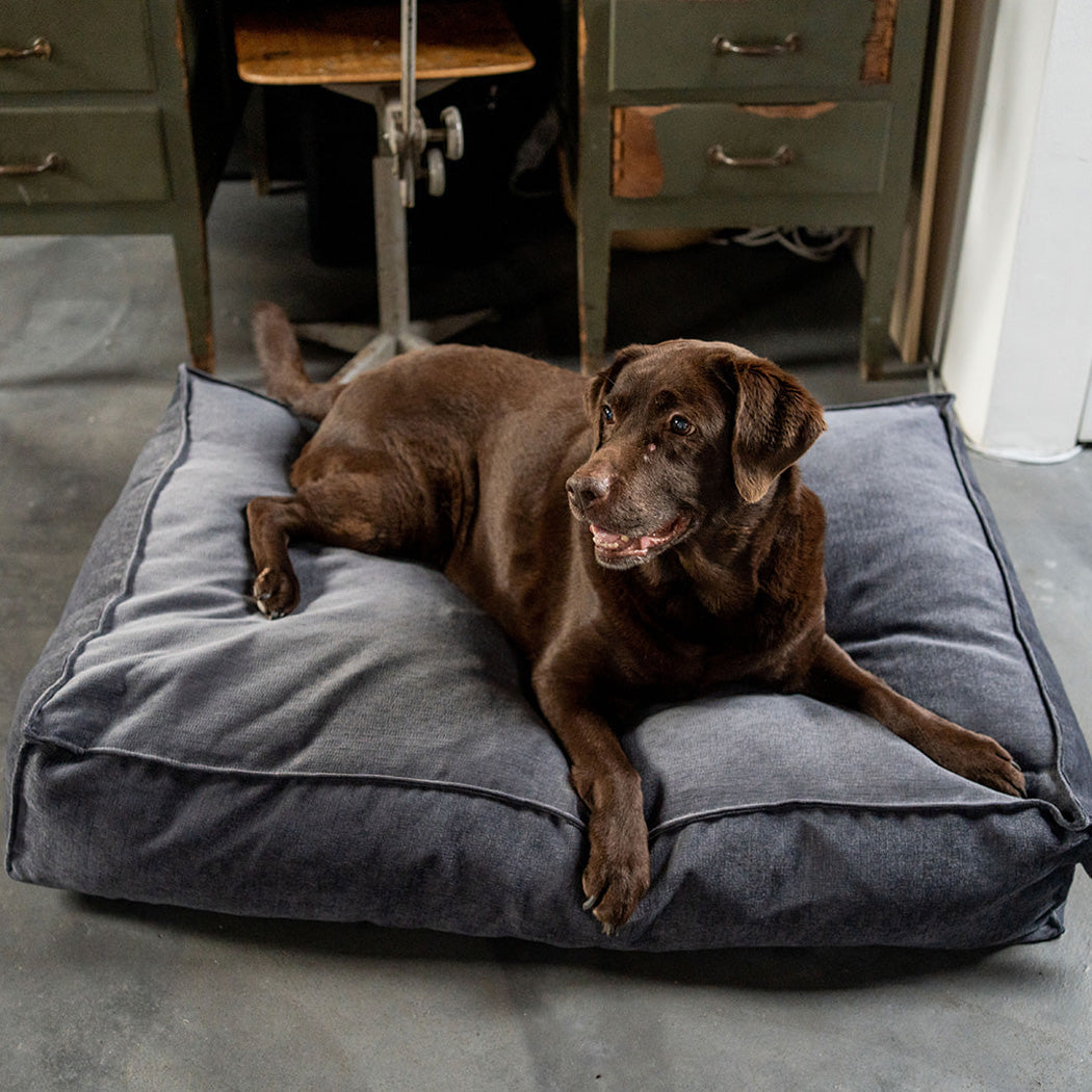 Stargaze Mellow Cushion Smoke Grey