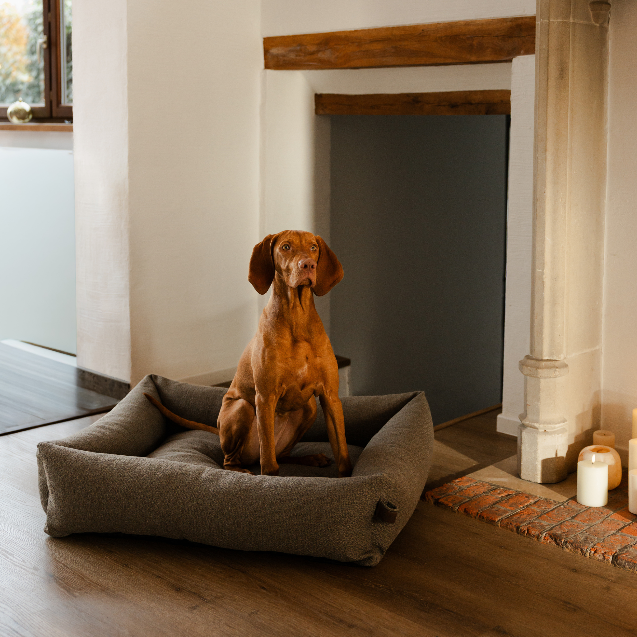 A Vizsla sitting in the Deep Taupe Snug dog bed beside a fireplace