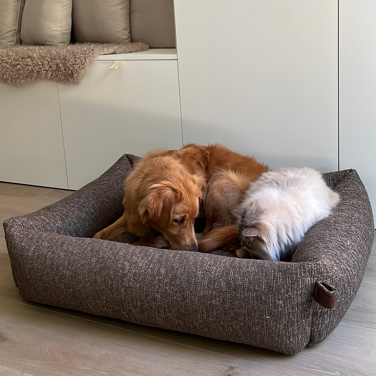 A dog and a white cat sharing the Espresso Brown Snug dog bed