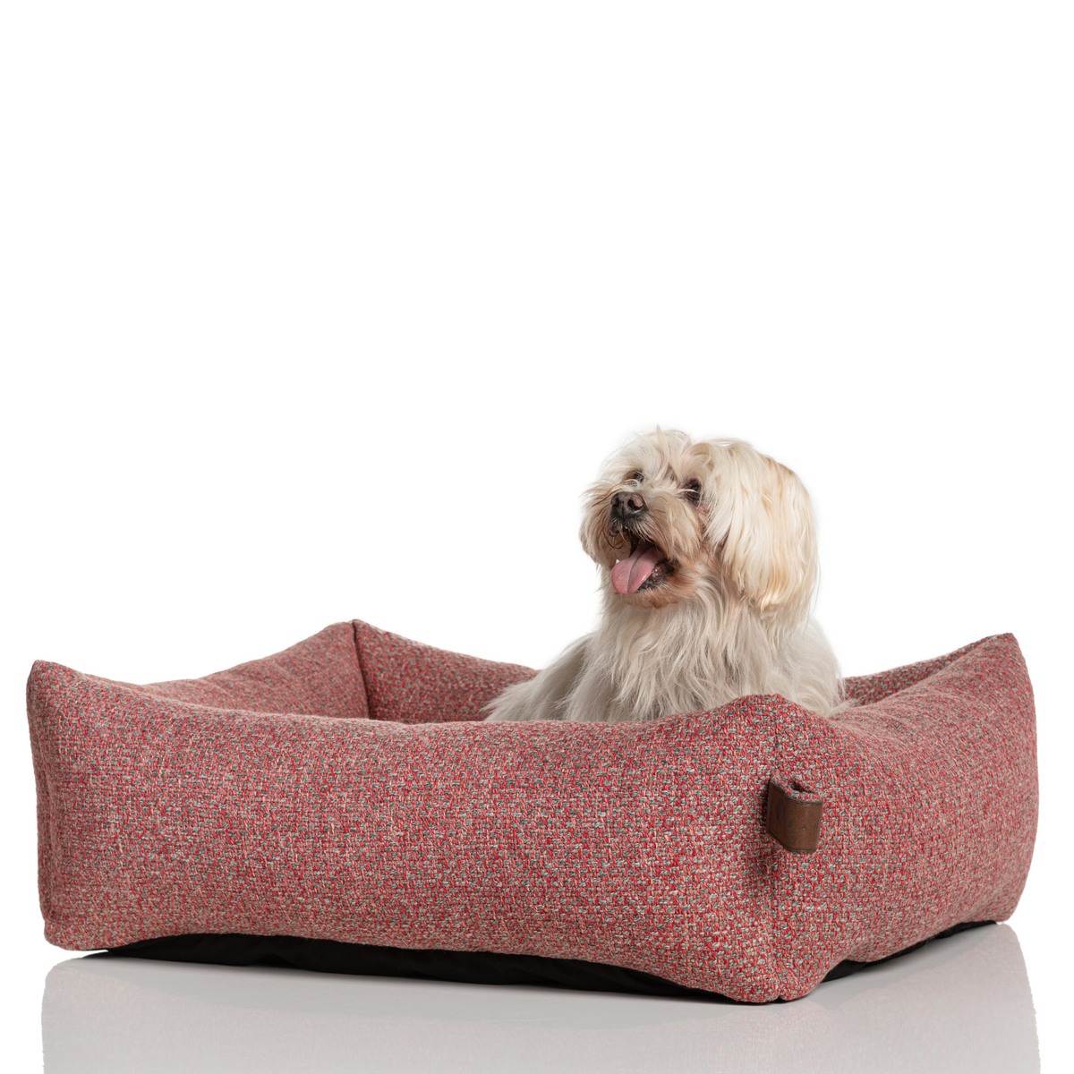 A small white dog sitting in the Fire Brick Snug dog bed