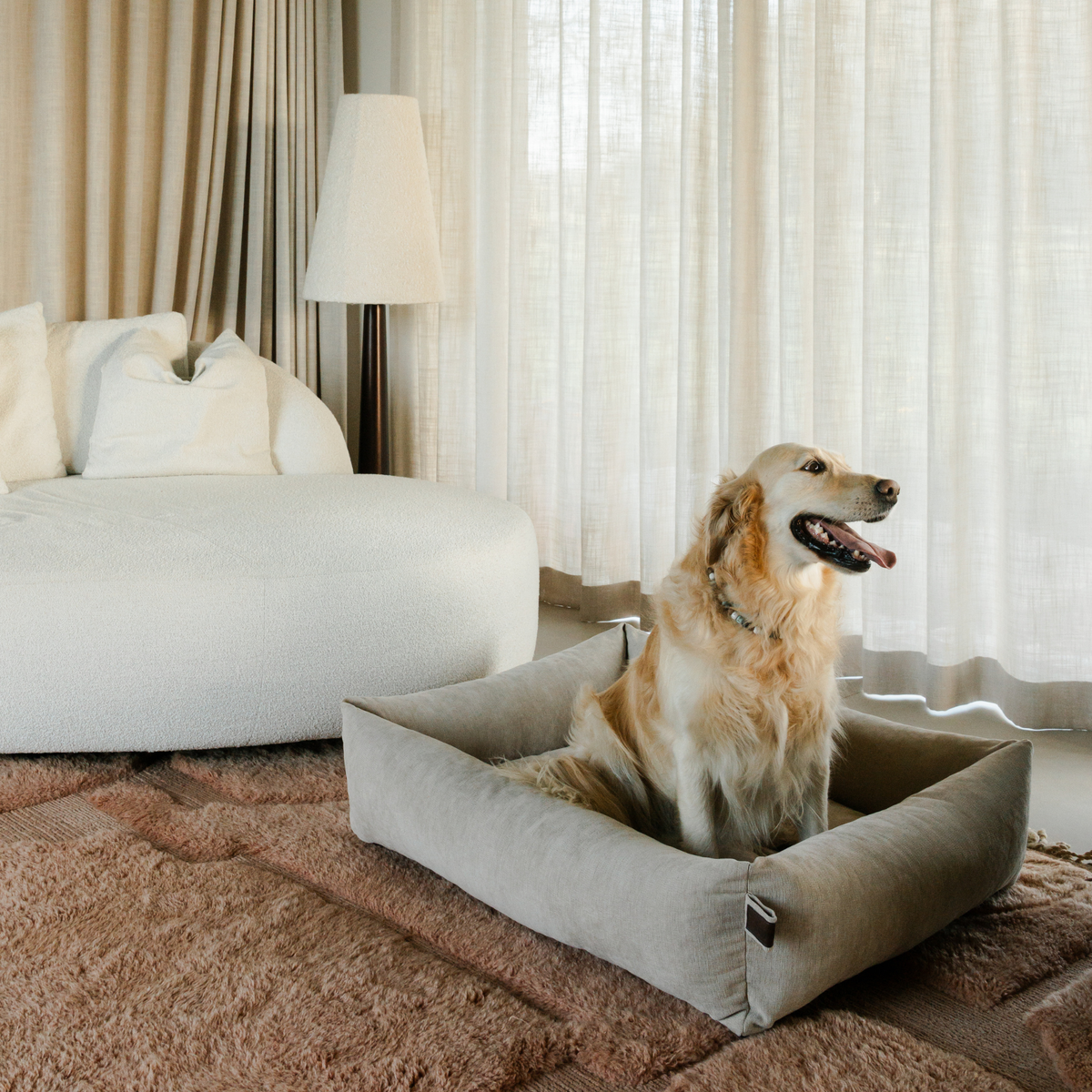A golden retriever sitting in the Oat Beige Snug dog bed beside a window