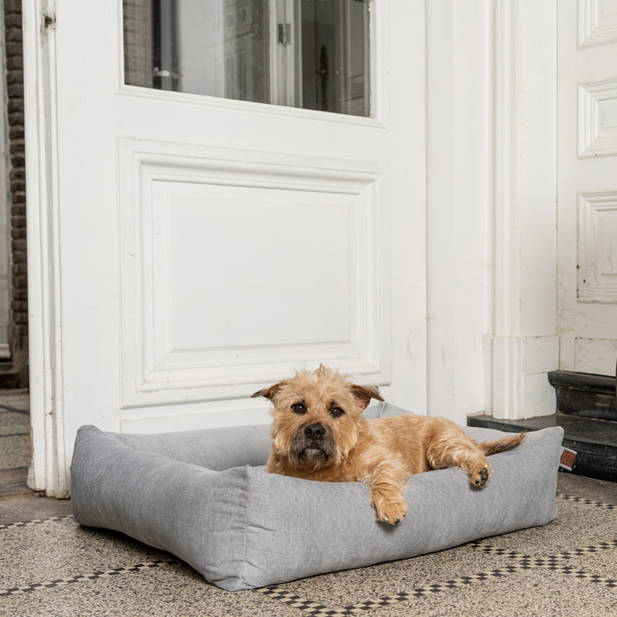 A terrier lying in the Pearl Grey Snug dog bed by a white front door