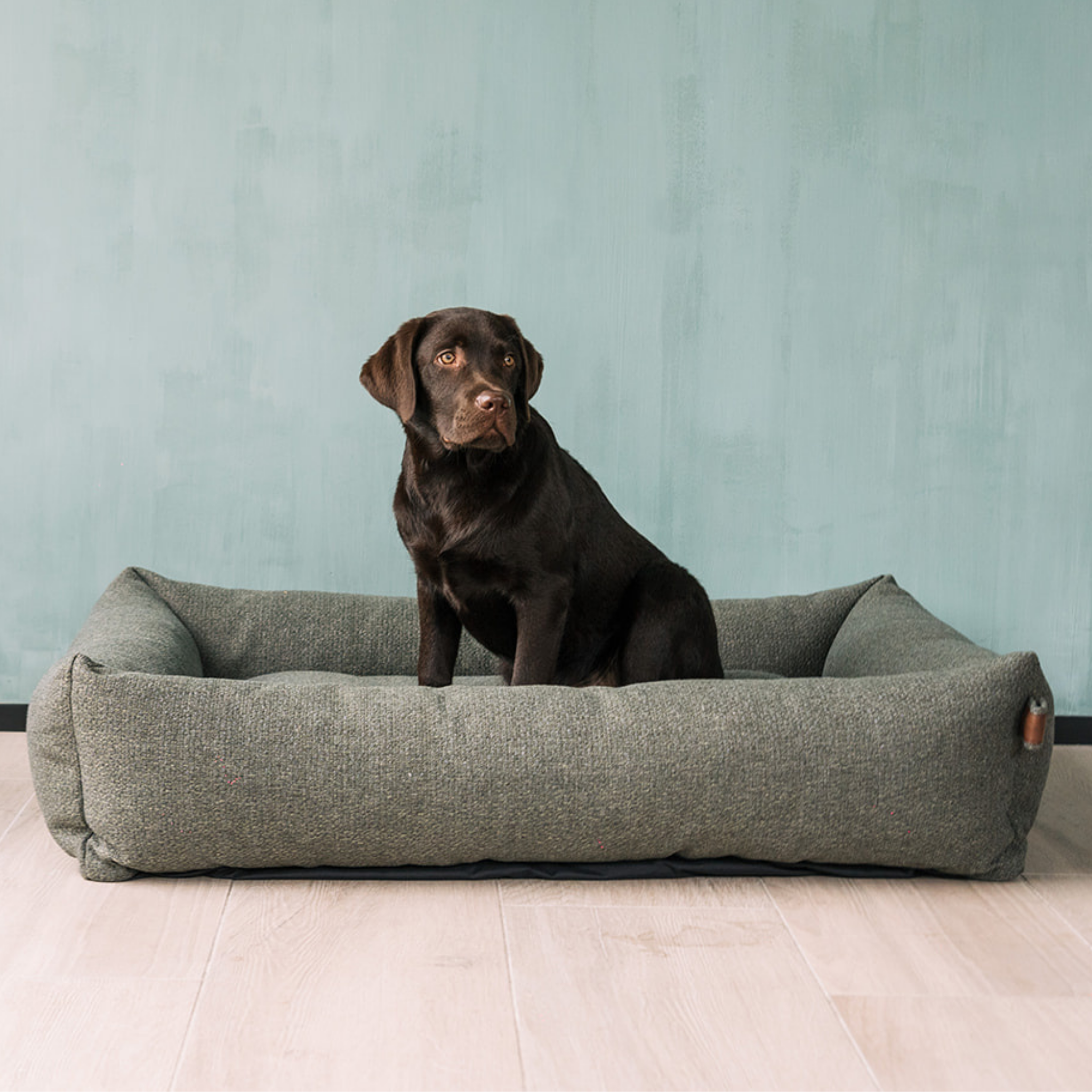 Chocolate Labrador sitting in the Seaweed Green Snug dog bed