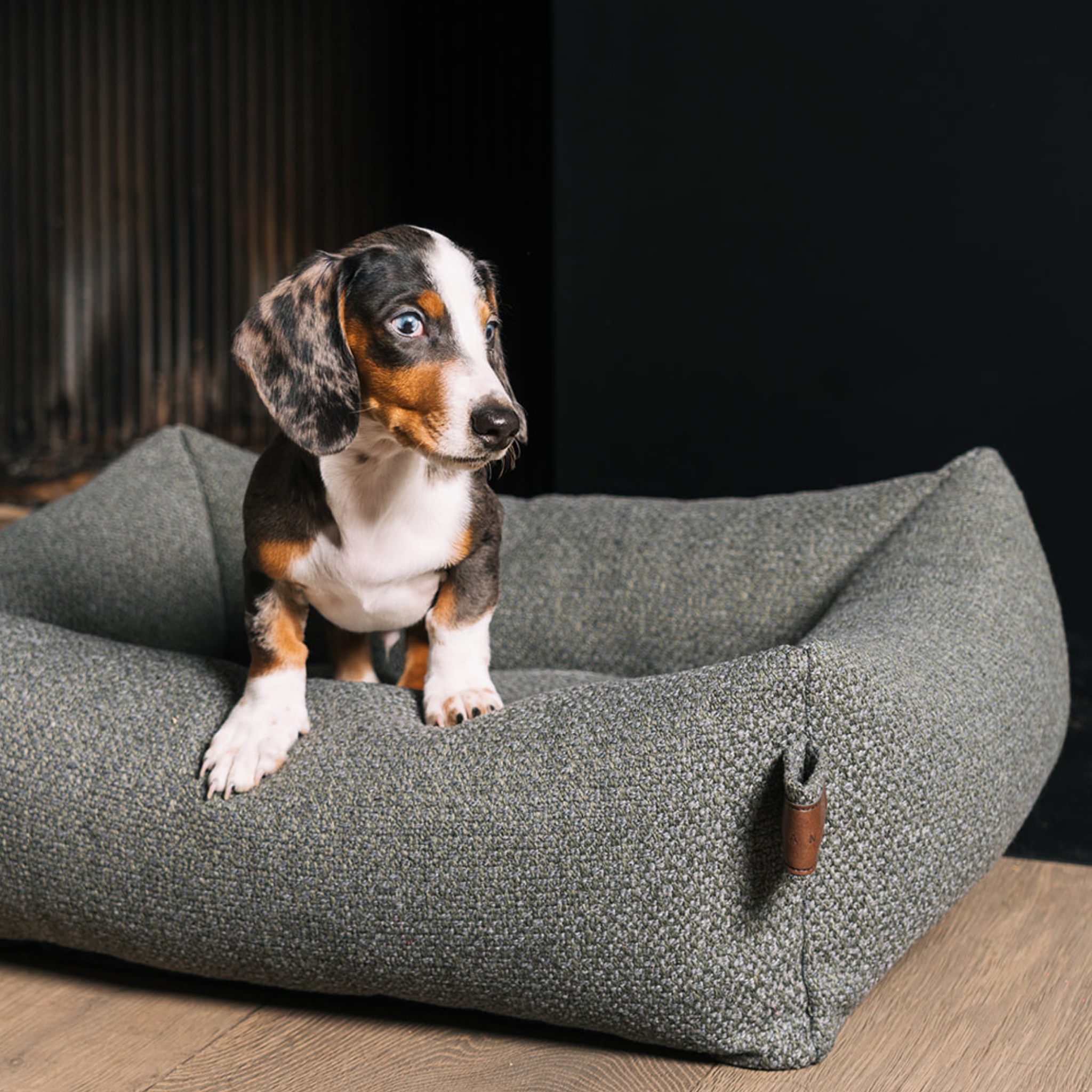 A dachshund standing in the Seaweed Green Snug dog bed