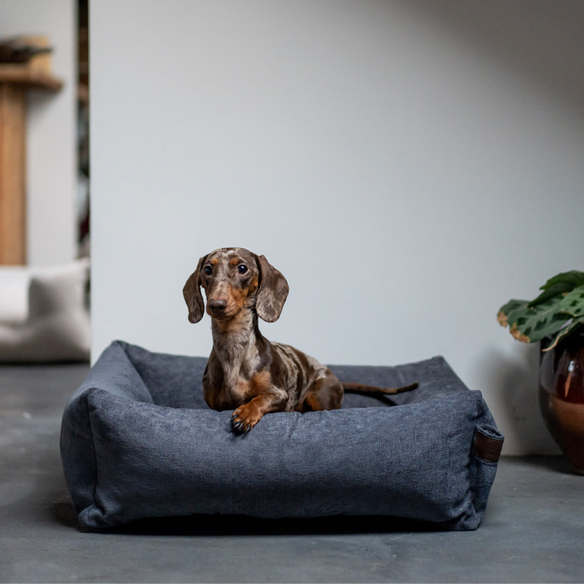 A dachshund lying in the Smoke Grey Snug dog bed