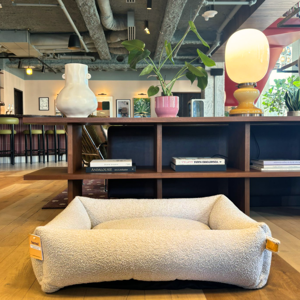 Snug Limited Edition Teddy