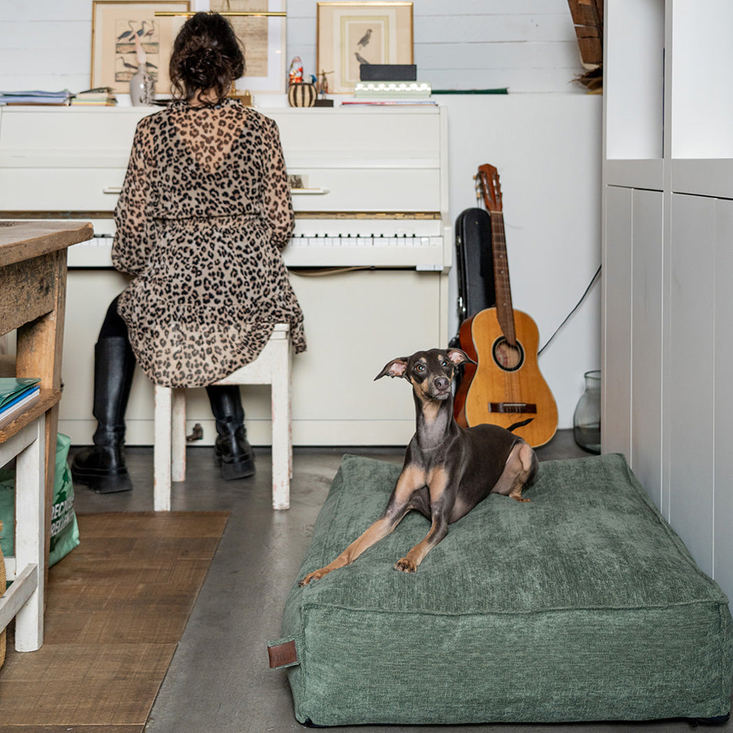 Stargaze Mellow Cushion Emerald Green