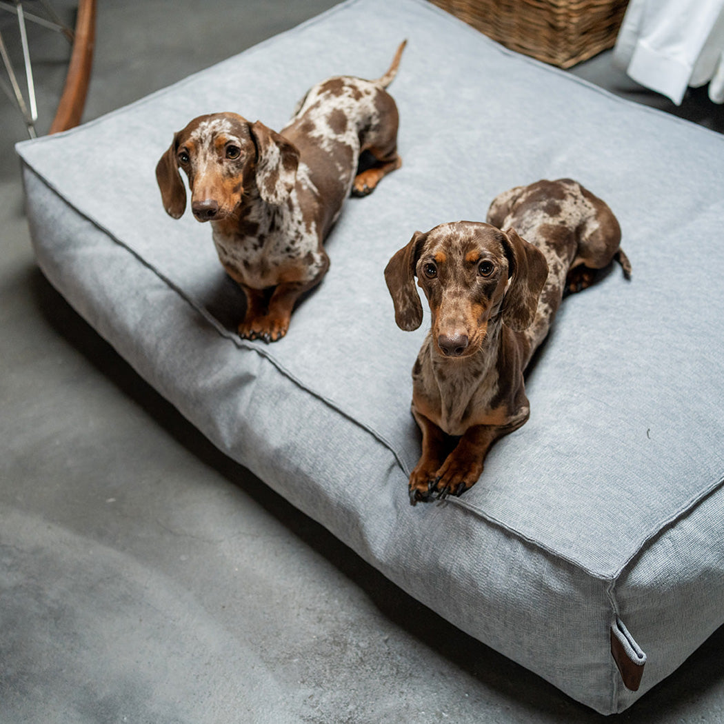 Stargaze Mellow Matras Pearl Grey