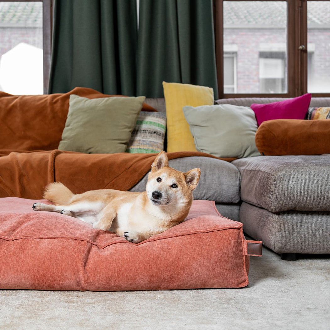 Stargaze Mellow Cushion Rusty Orange