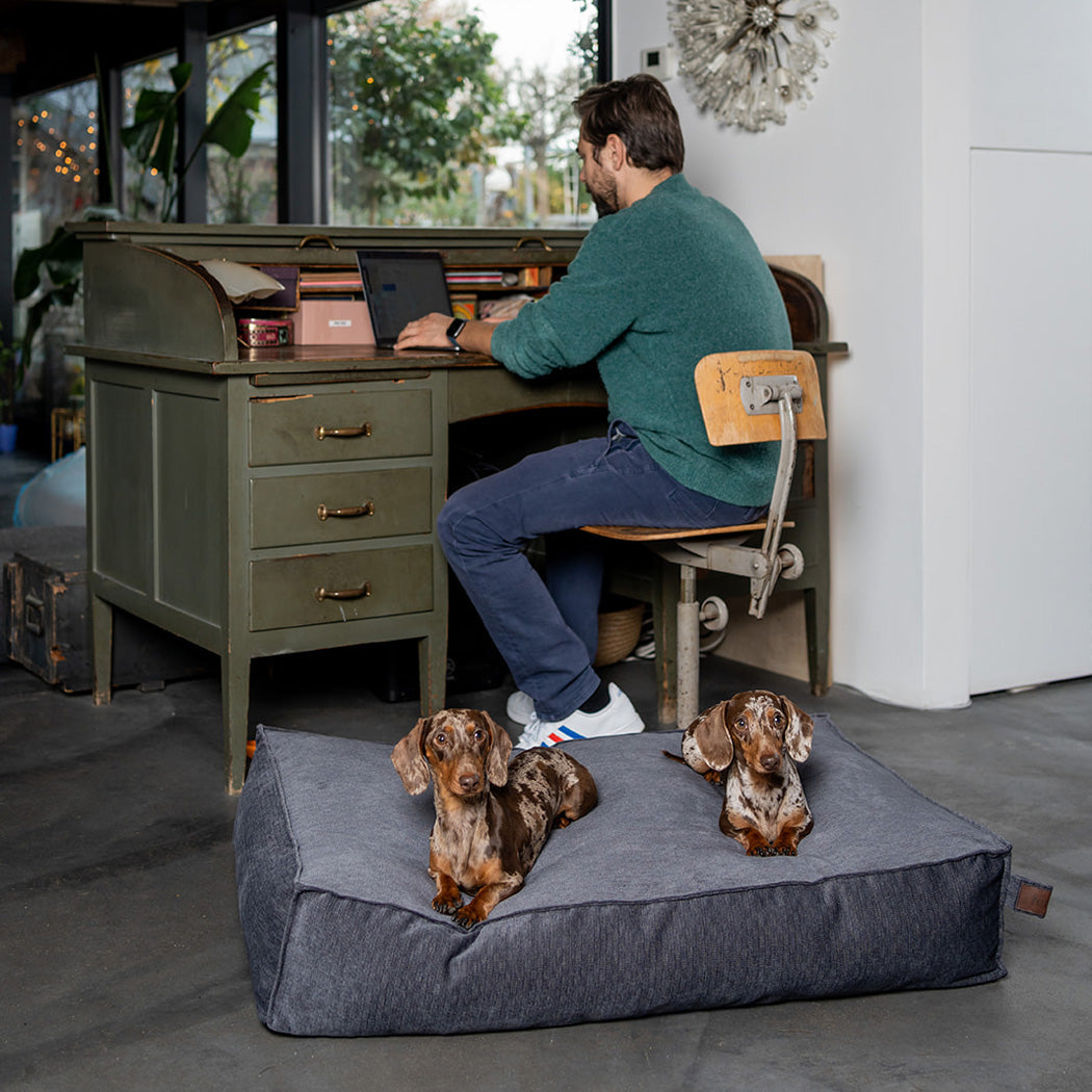 Stargaze Mellow Cushion Smoke Grey