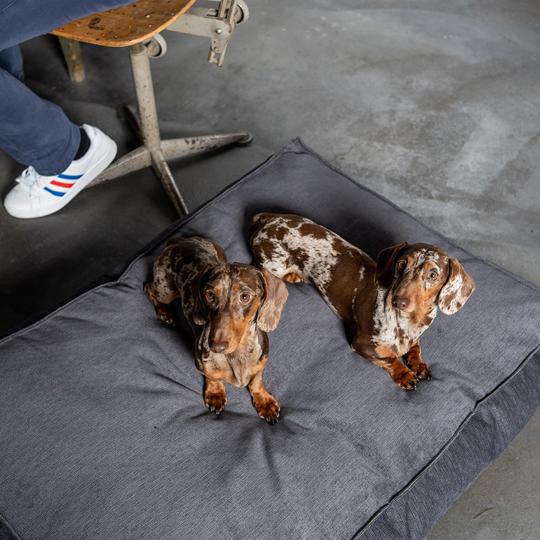 Stargaze Mellow Cushion Smoke Grey