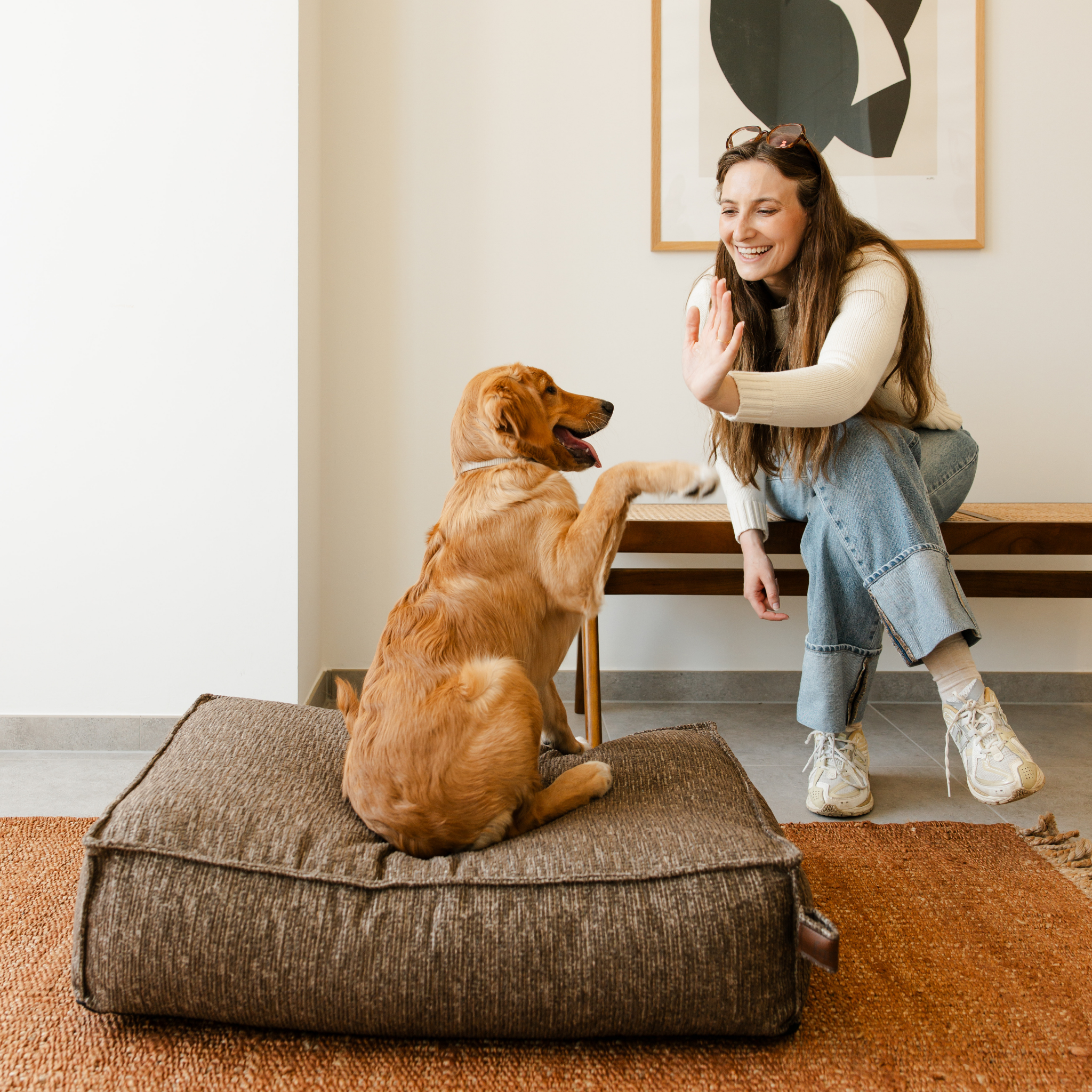 A dog giving its owner a paw from the Espresso Brown Stargaze dog mattress