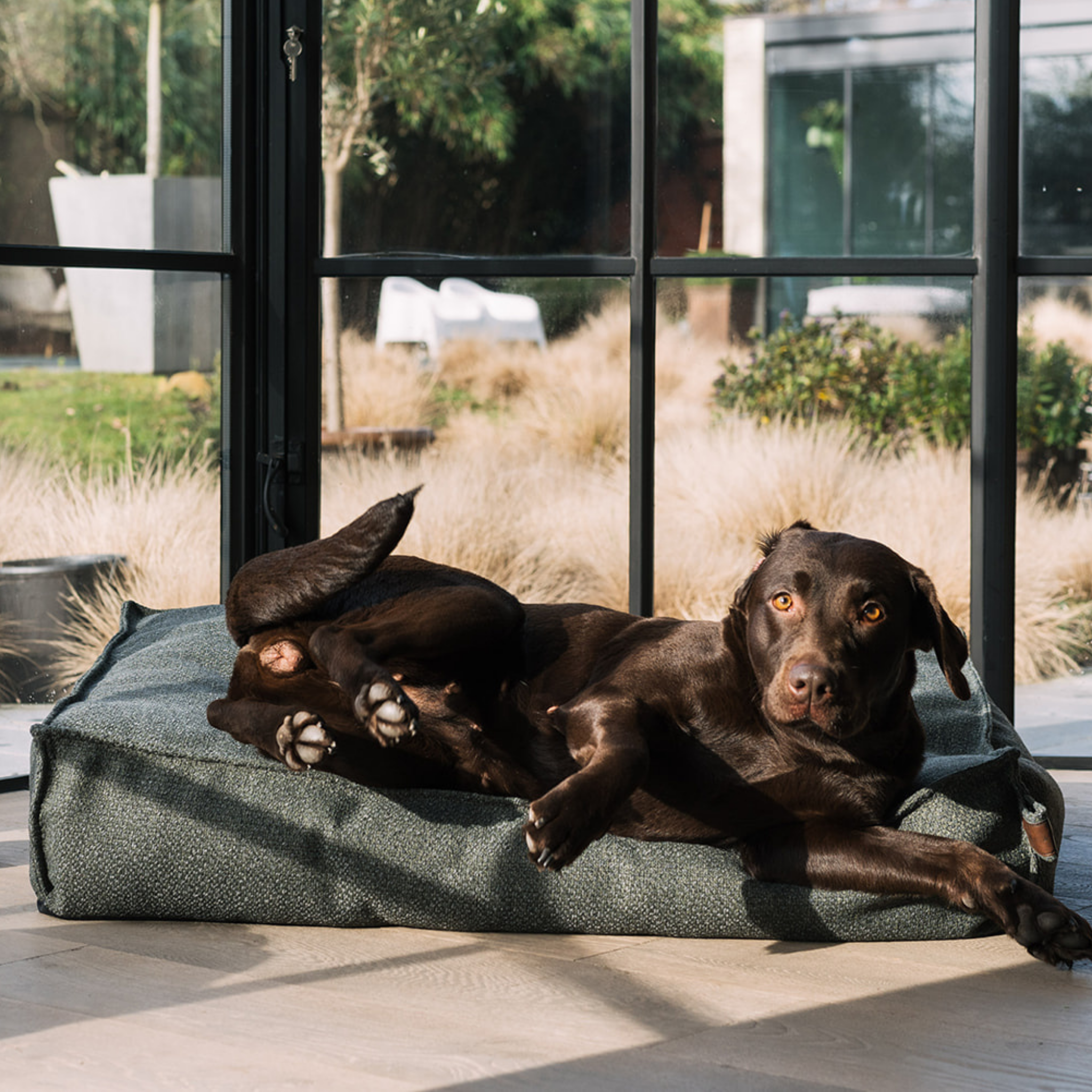 Two chocolate Labradors sharing the Seaweed Green Stargaze dog mattress by a window