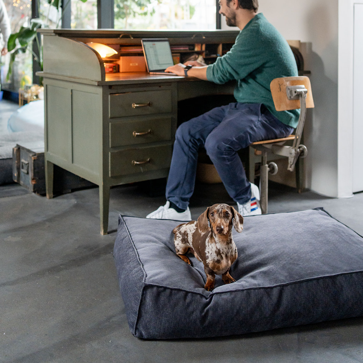 A dachshund on the Smoke Grey Stargaze dog mattress beside a home office desk