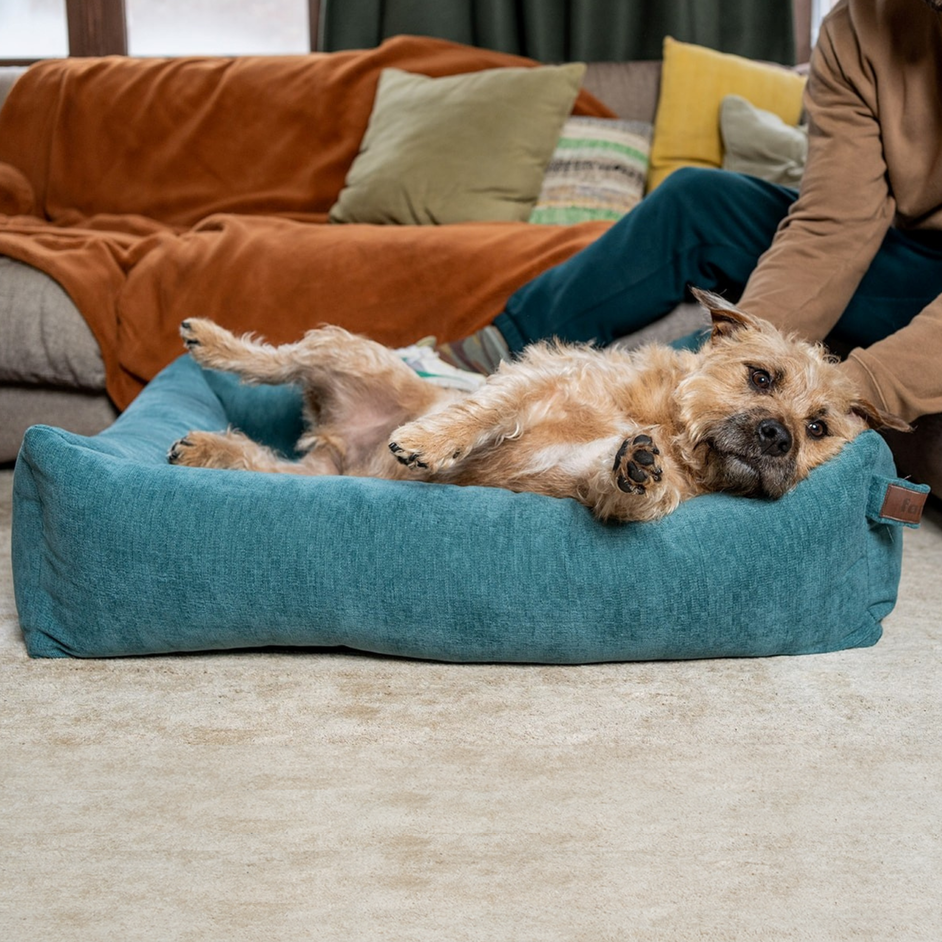 Snug Mellow Dog Bed Peacock Blue