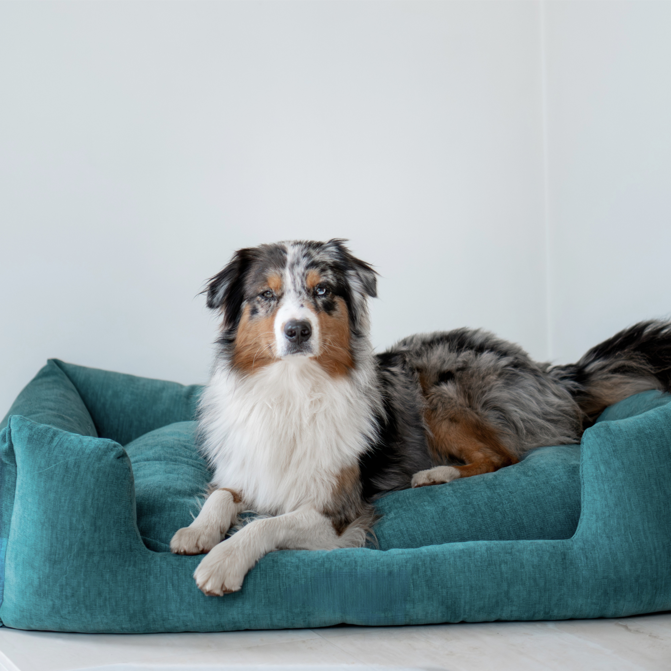 Snooze Mellow Dog Bed Peacock Blue