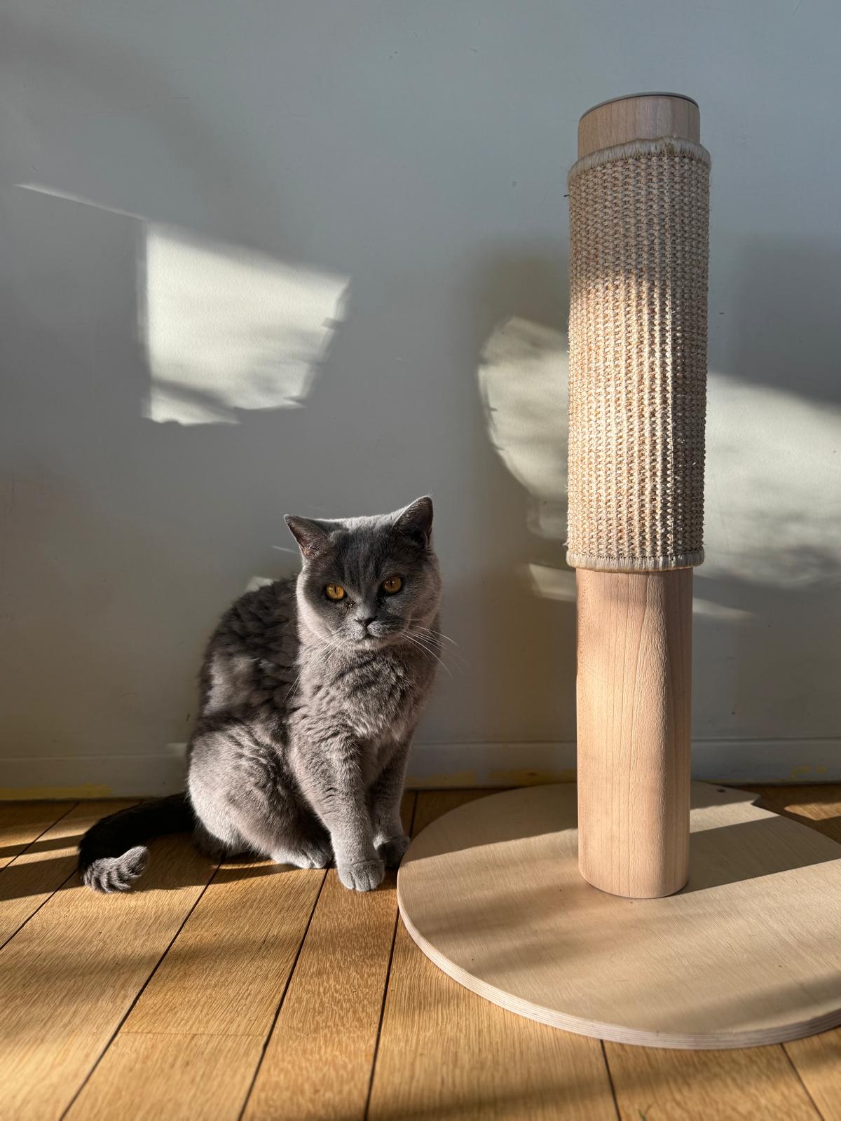 Cat Scratching Post Solid Wood