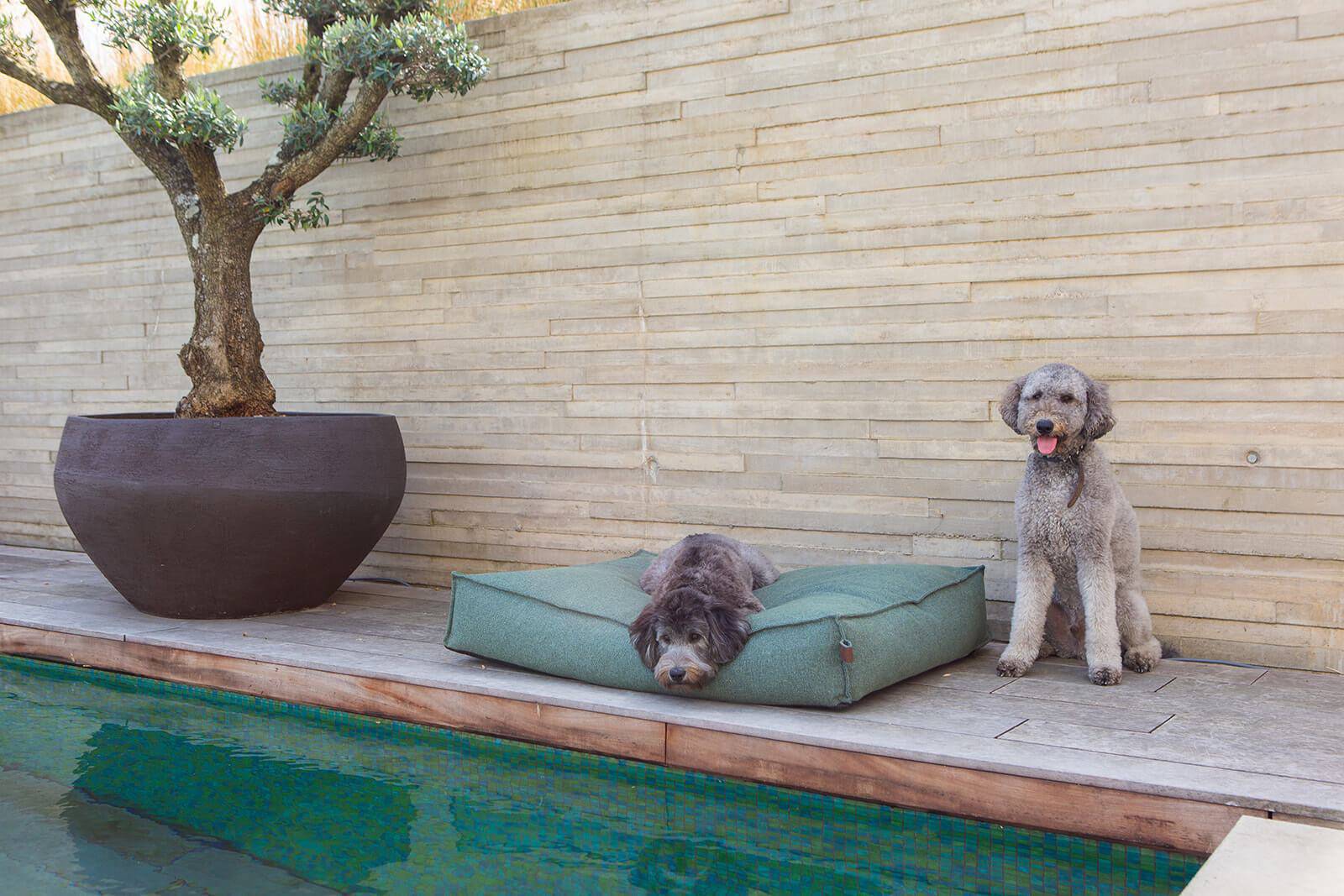 Mattress Stargaze Botanical Green Medium 100x70cm - Fantail.be