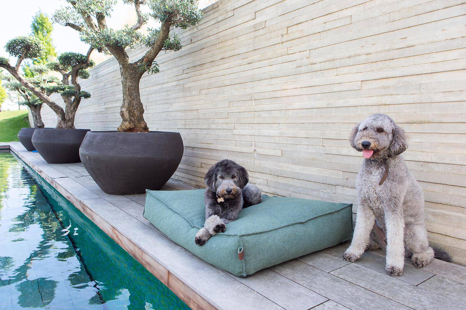 Mattress Stargaze Botanical Green Medium 100x70cm - Fantail.be