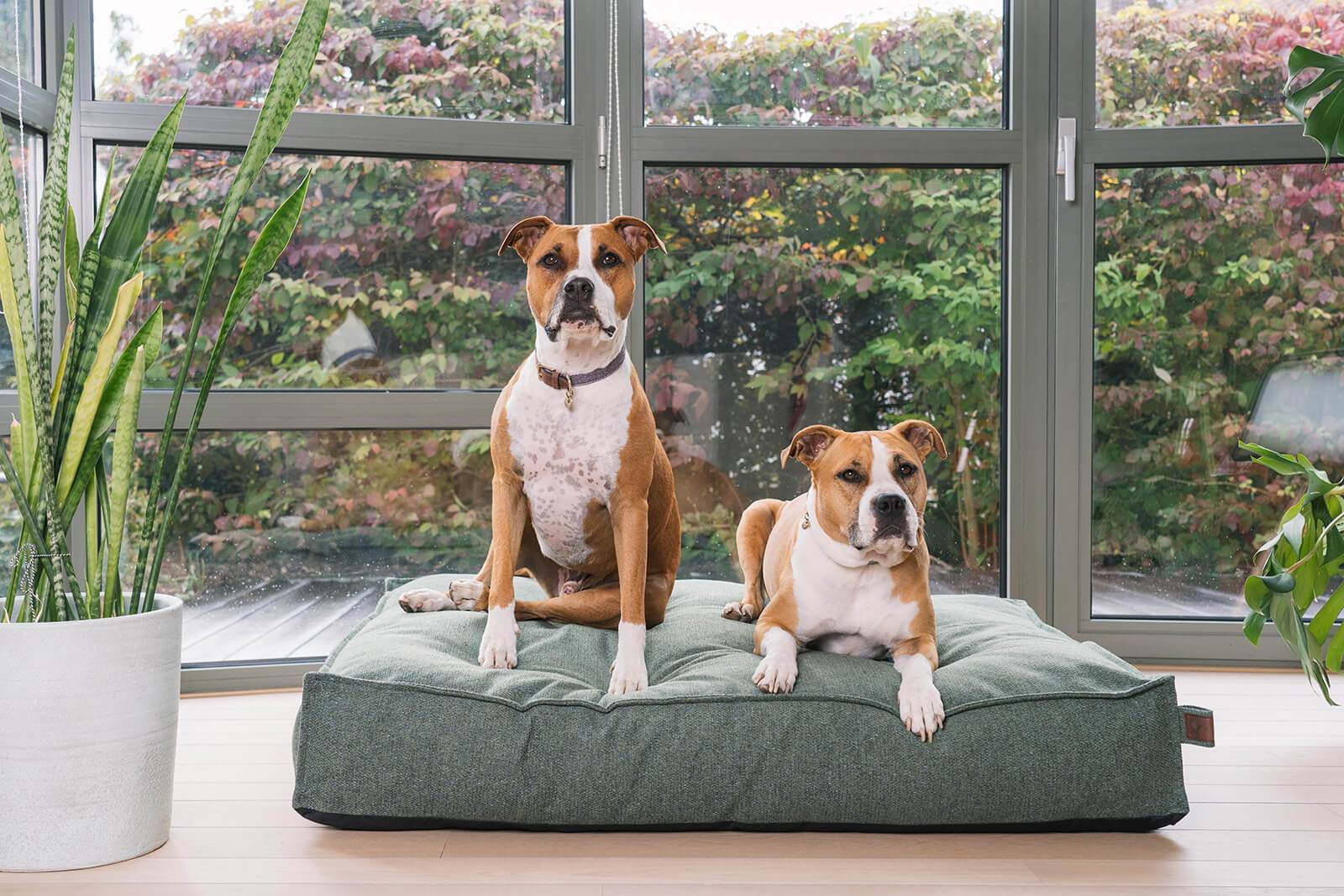 Mattress Stargaze Botanical Green Large 120x90cm - Fantail.be