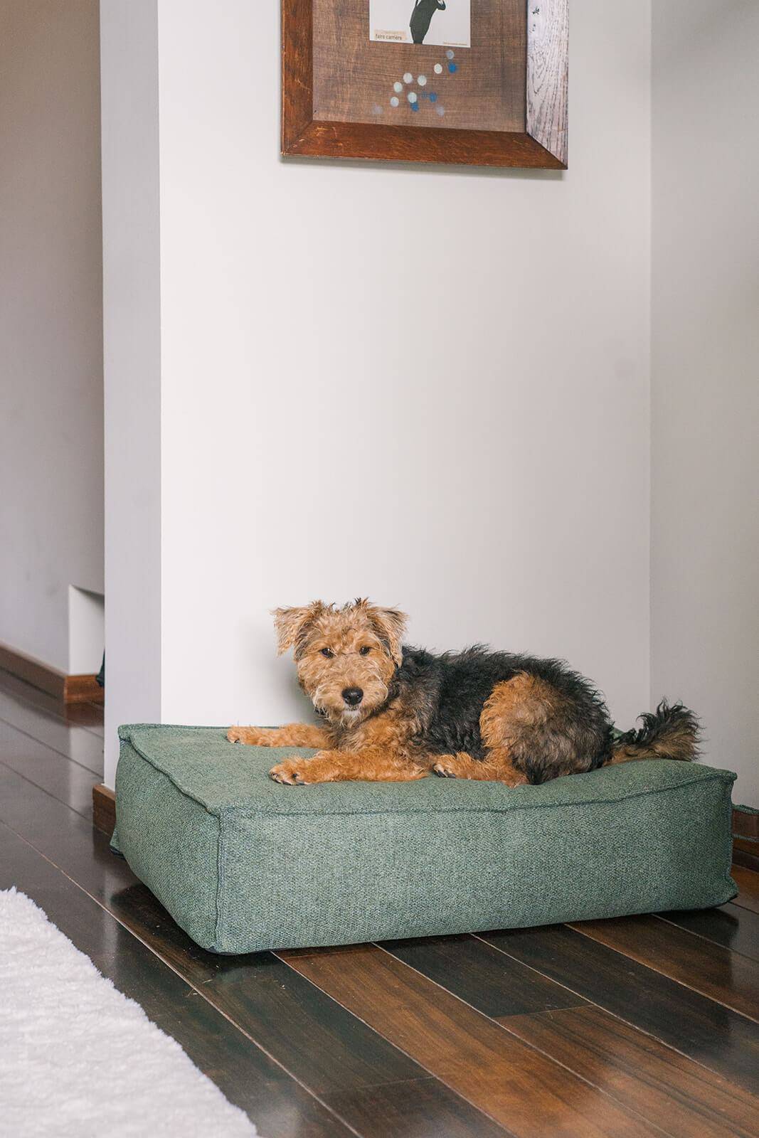 Mattress Stargaze Botanical Green Small 80x55cm - Fantail.be