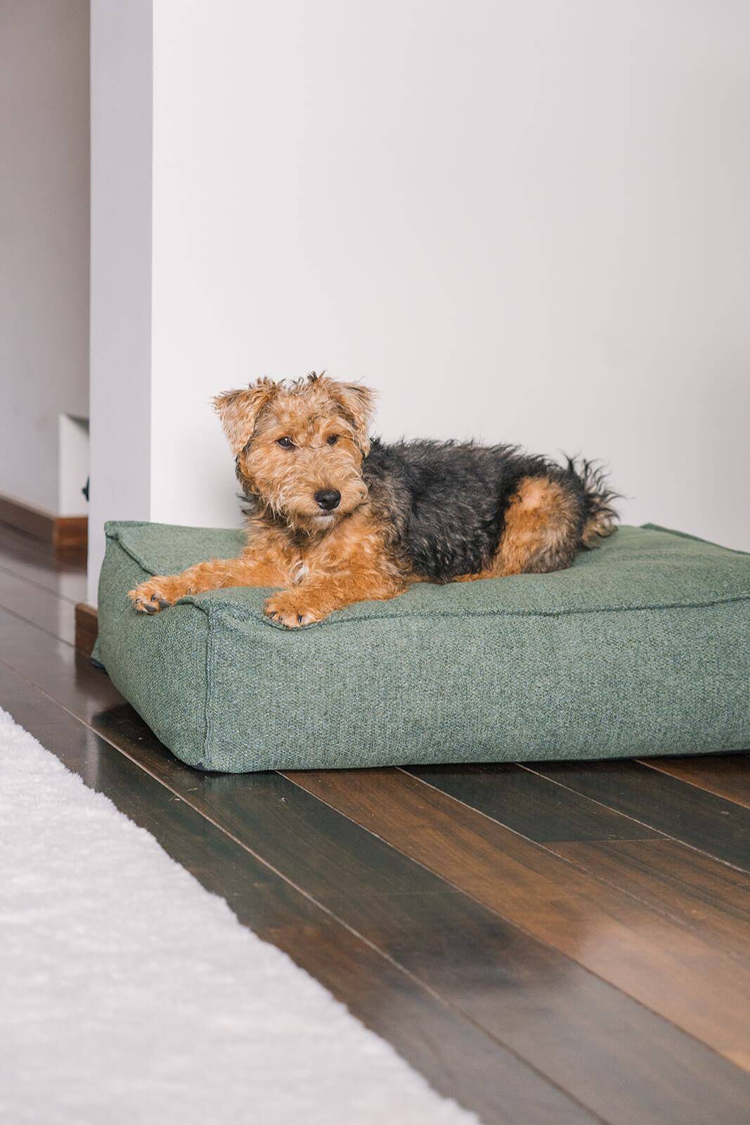 Mattress Stargaze Botanical Green Small 80x55cm - Fantail.be