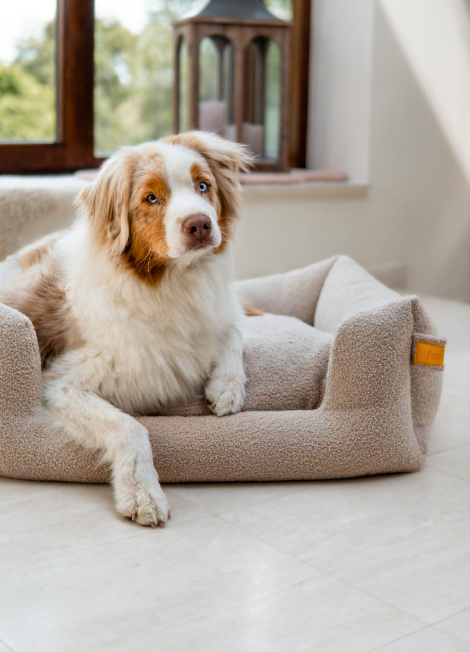 Snooze Limited Edition Teddy