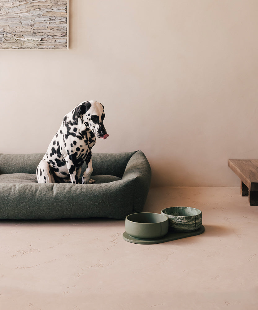 The Green Retreat | Pino x Fantail