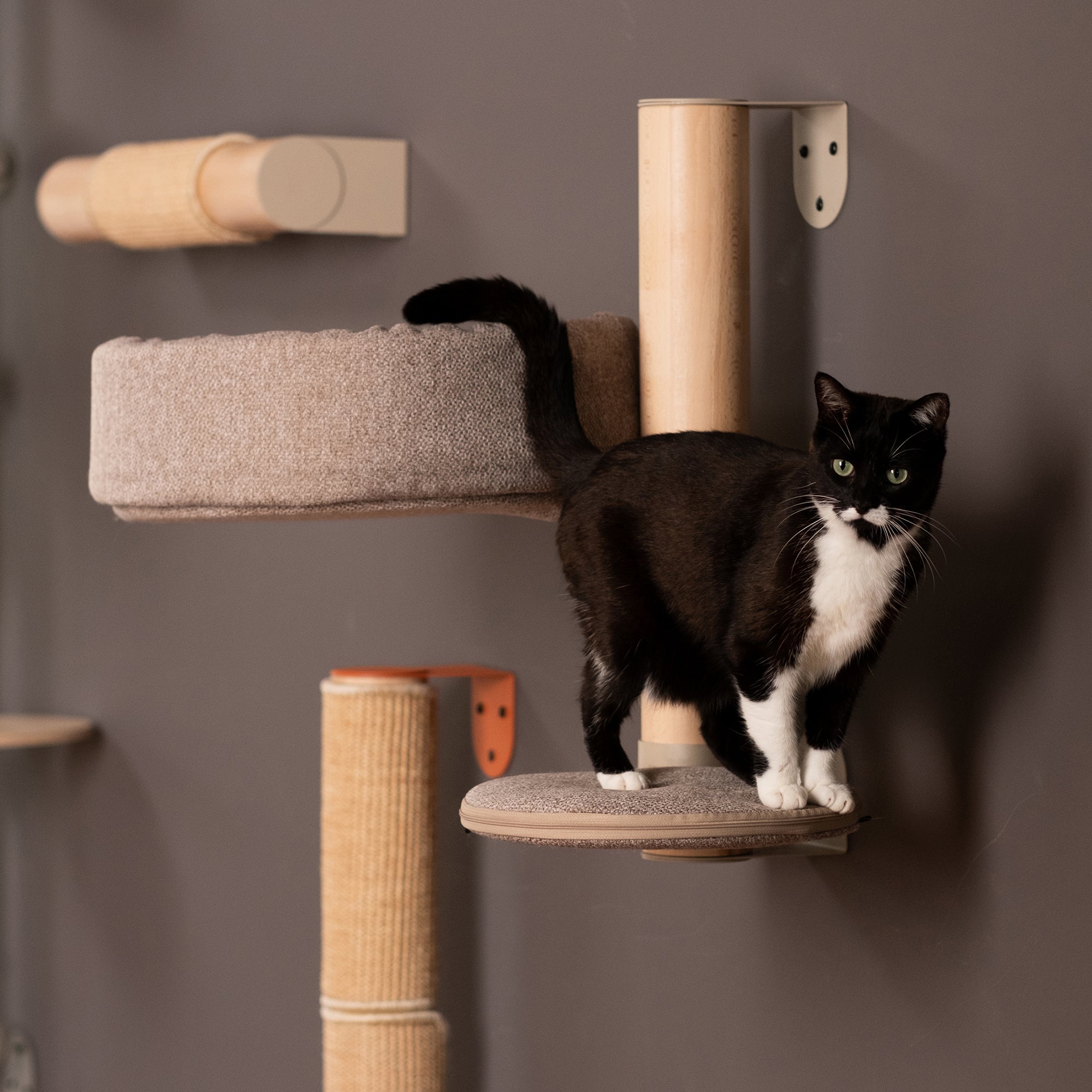 The Explorer Cat Tree N°8 Orange