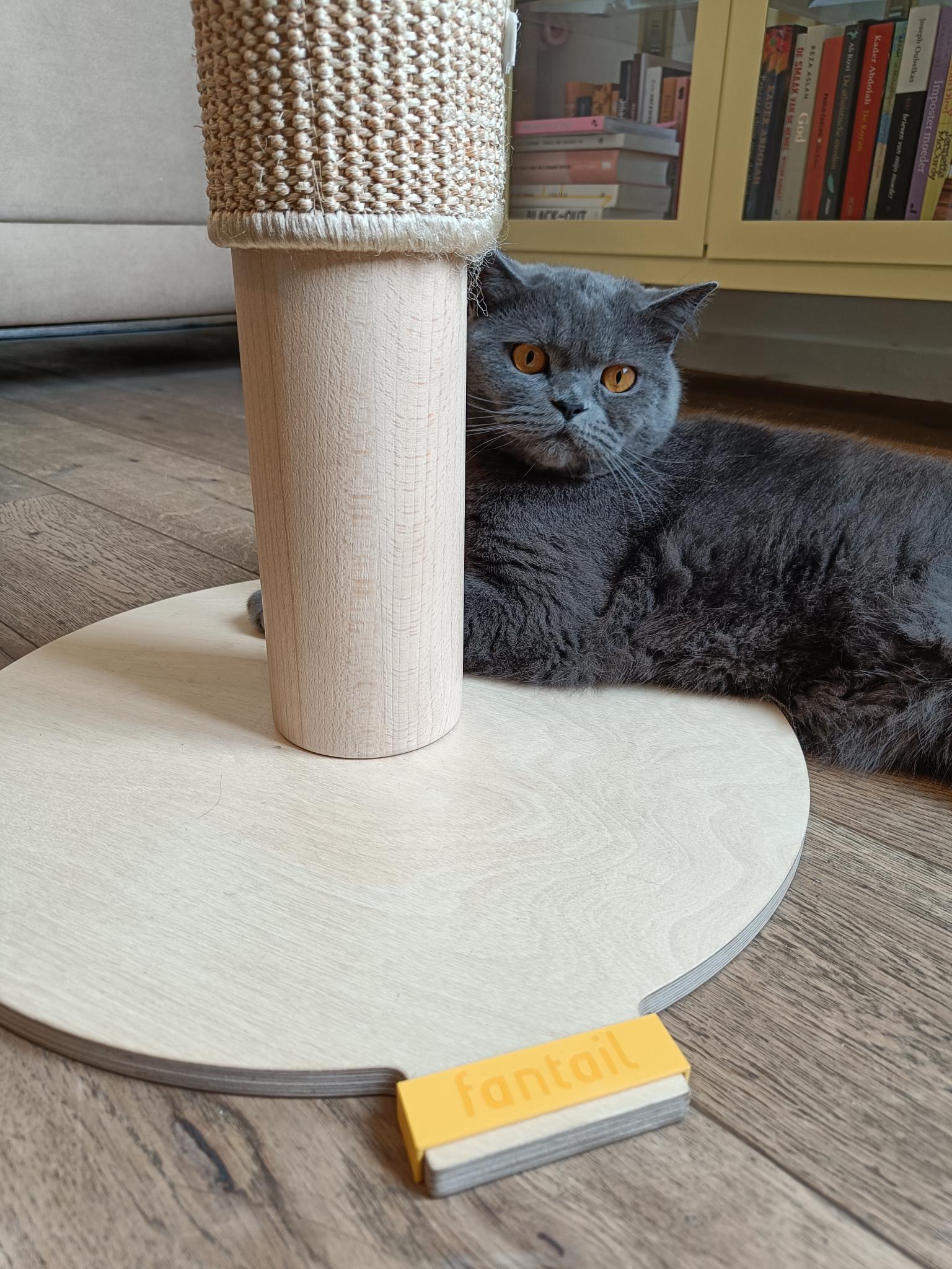 Cat Scratching Post Solid Wood