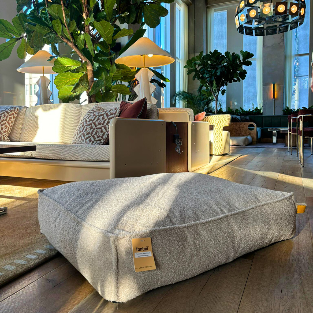 Stargaze Limited Edition Teddy