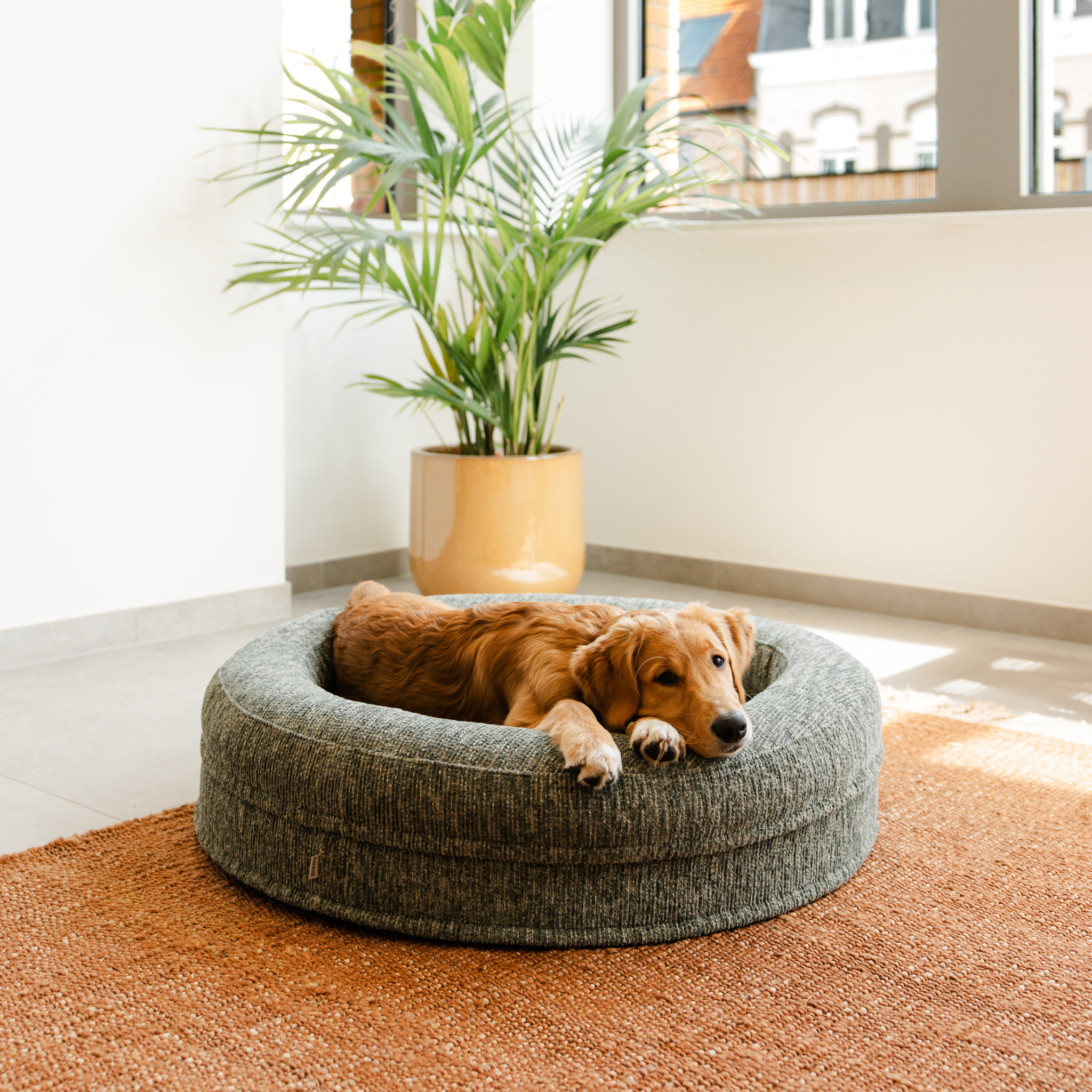 Swirl Elite Dog Bed Forest Without Frame – Orthopedic Dog & Cat Bed with Washable Cover