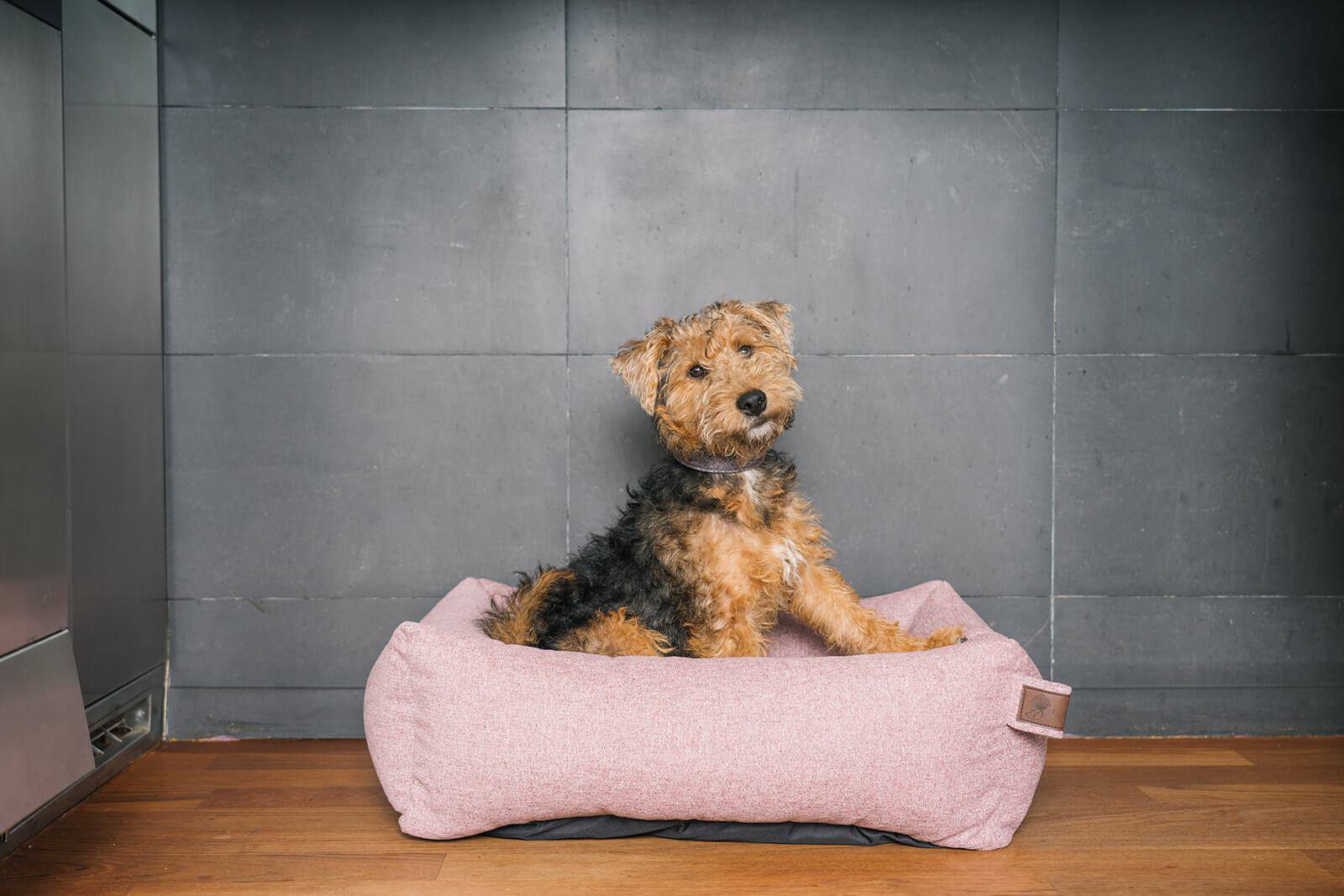 Basket Snug Iconic Pink Small 70x55cm - Fantail.be