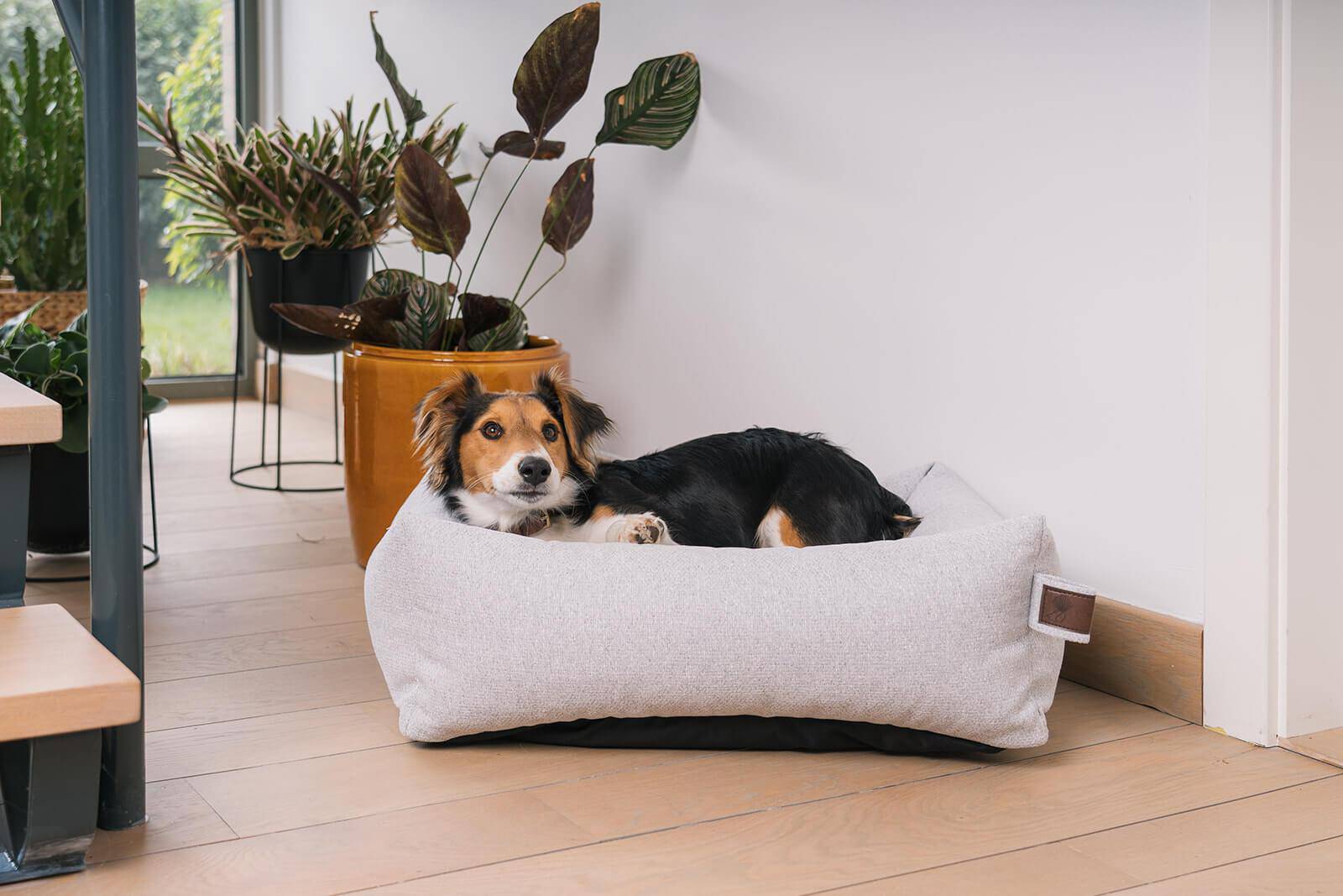 Basket Snug Silver Spoon Medium 100x80cm - Fantail.be