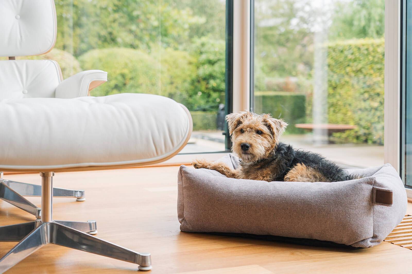 Basket Snug Silver Spoon Small 70x55cm - Fantail.be