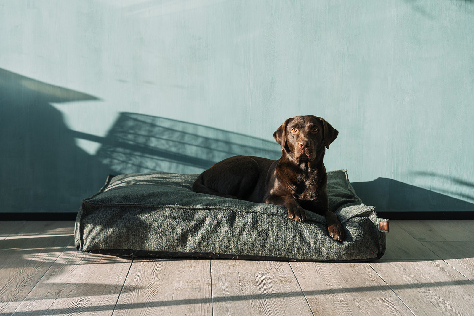 Fantail Outdoor-Hundekissen: Komplette Anleitung zu Nutzung, Pflege und Funktionen