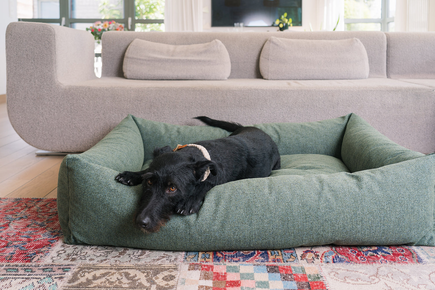 5 reasons your dog needs a memory foam bed