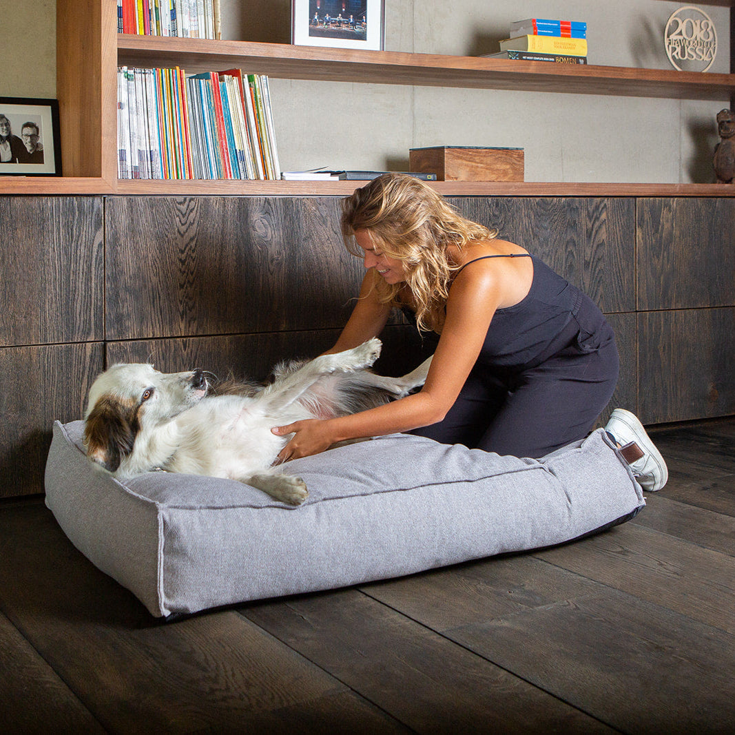 women playing with her dog in his bed
