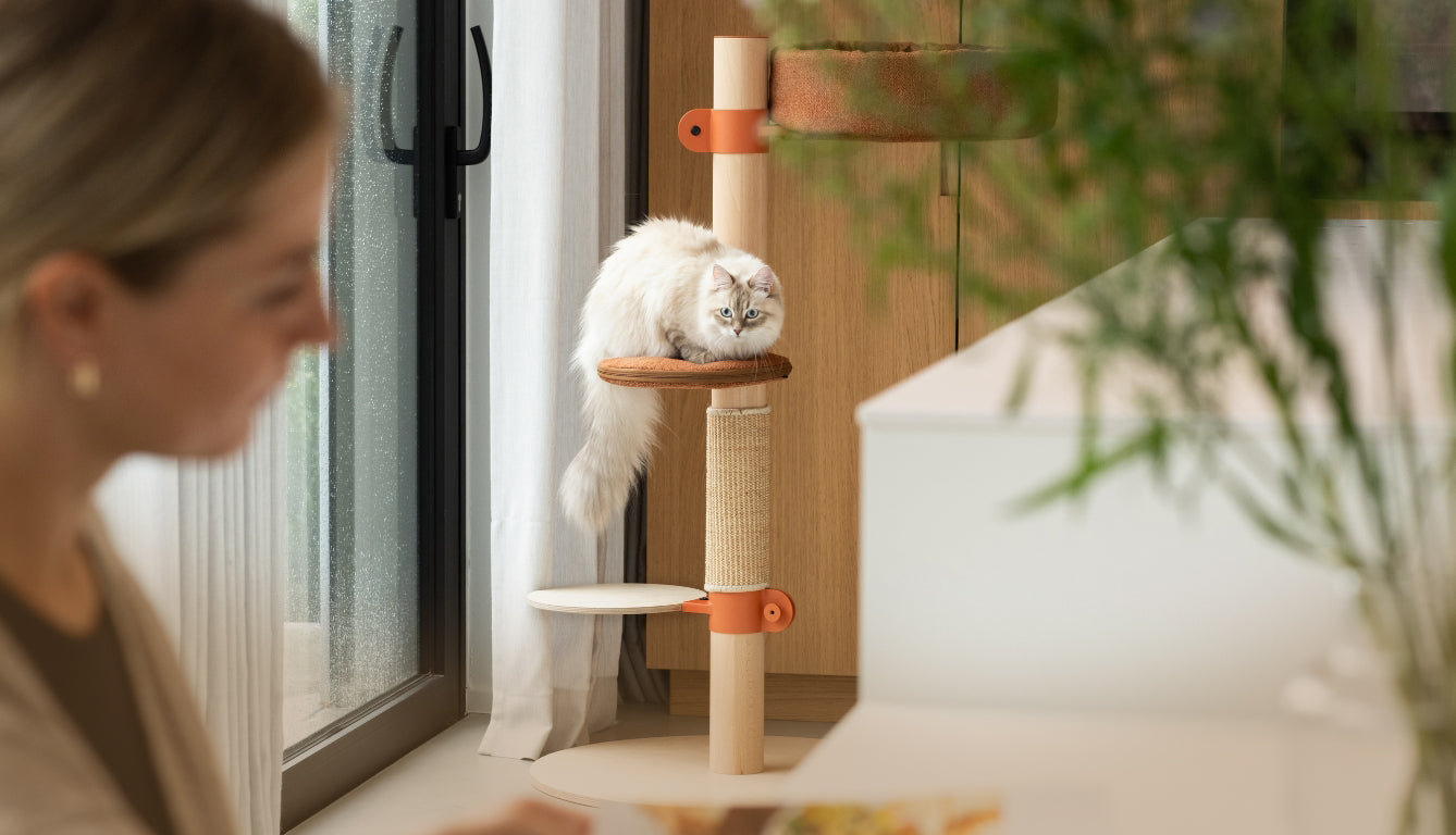 The Observer Medium Cat Tree Collection – Fantail.eu