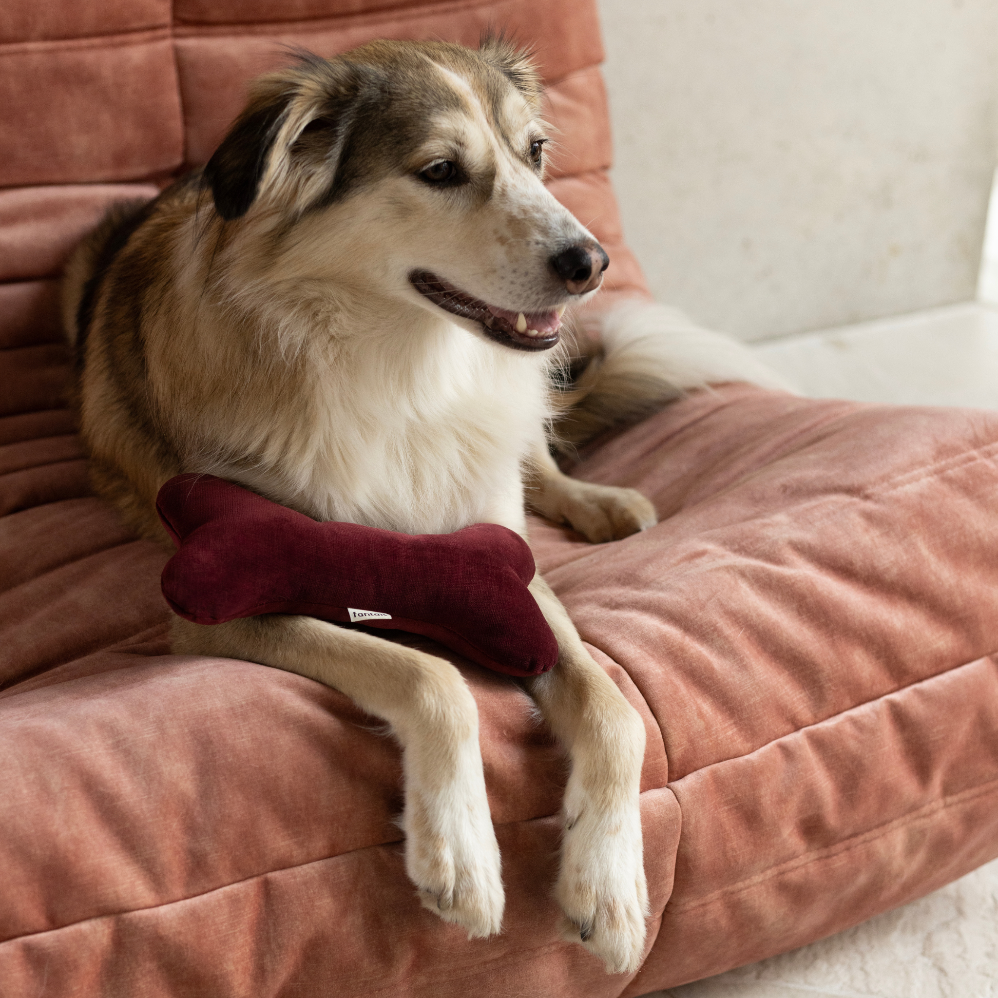 Christmas Bones x A.DOPT