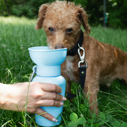Springland Dog Travel Water Bottle