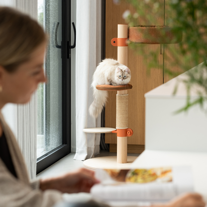 Cat Tree N°2 Orange
