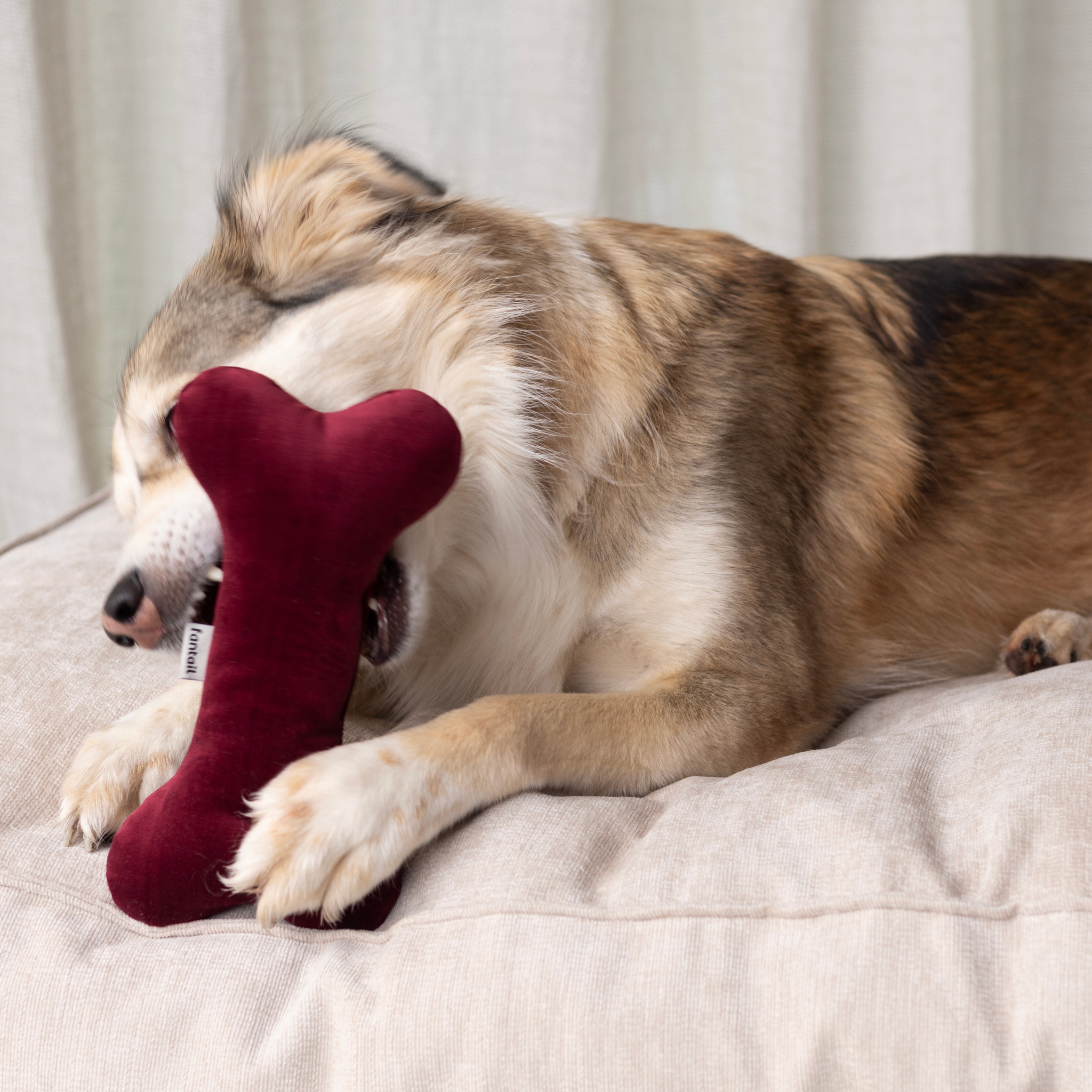 Christmas Bones x A.DOPT