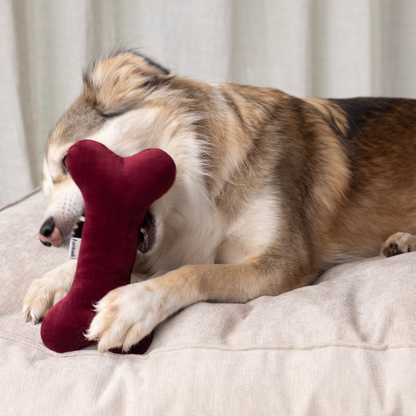 Christmas Bones x A.DOPT